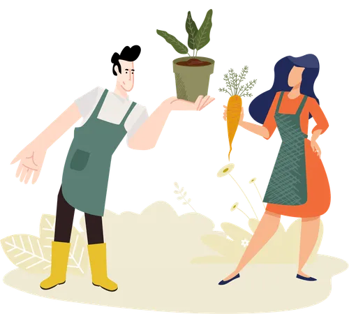 Couple collects newly grown vegetables from garden  Illustration