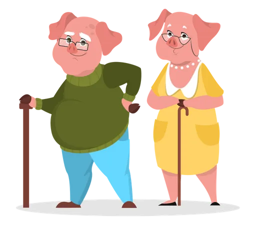 Couple de cochons âgés  Illustration