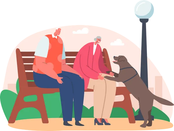 Un couple de personnes âgées passe du temps dans un parc assis sur un banc de parc  Illustration