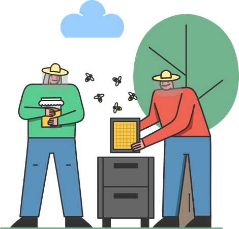 Couple doing beekeeping  Illustration