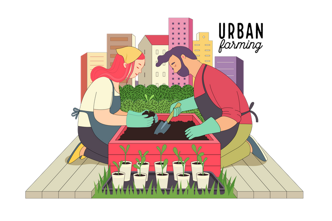 Couple doing Urban farming and gardening  Illustration