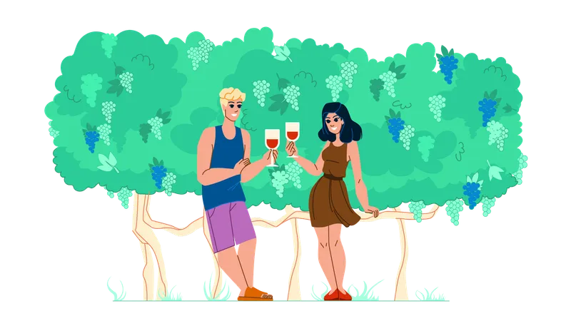 Couple Vineyard Vector Winery Wine Happy Female Man Nature Outdoor Woman Food Agriculture Caucasian Joy Person Landscape Couple Vineyard Character People Flat Cartoon Illustration Illustration