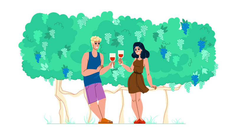 Couple drinking wine  Illustration