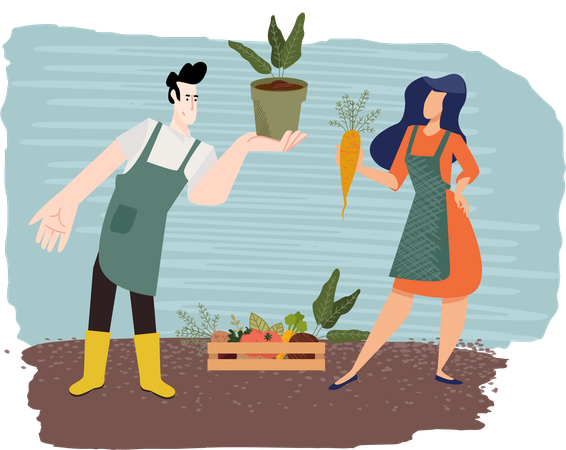 Couple harvesting carrot together  Illustration