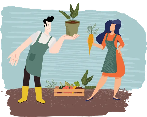 Couple harvesting carrot together  Illustration