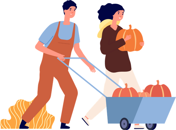 Couple harvesting pumpkins Illustration