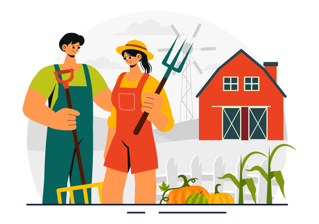 Couple harvesting vegetables  Illustration