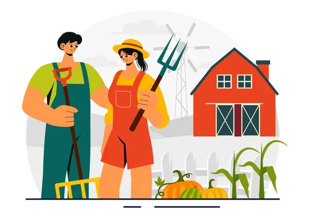 Couple harvesting vegetables  Illustration