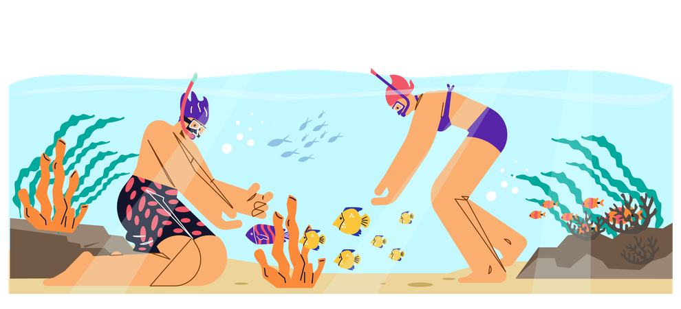 Couple in diving mask and snorkel swimming in sea observing fauna of coral reef  Illustration