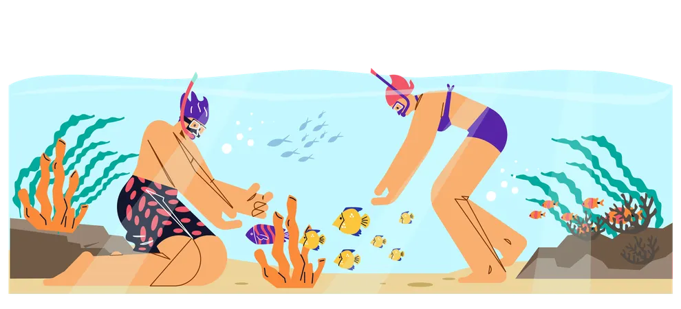 Couple in diving mask and snorkel swimming in sea observing fauna of coral reef  Illustration