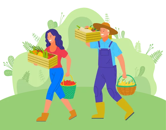 Couple is collecting fruits from garden  Illustration