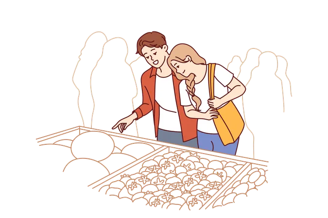 Man And Woman Do Shopping At Market And Stand Near Crates Of Vegetables At Farmers Fair Happy Couple Chooses Organic Vegetables And Fruits To Cook Delicious Food With Eco Ingredients Illustration
