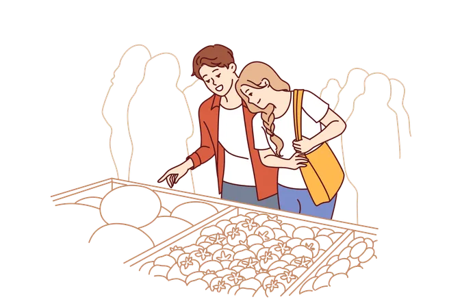 Couple is doing shopping in vegetable market  Illustration