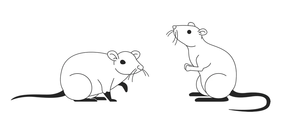 Couple of cute domesticated rats  Illustration