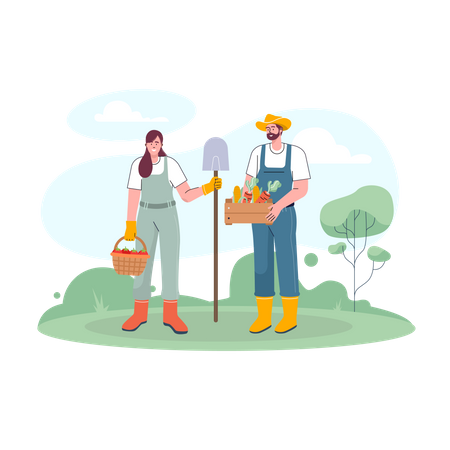 Couple of farmer harvesting fresh vegetables  Illustration