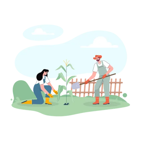 Couple of farmer taking care of crops Illustration
