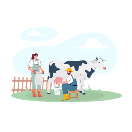 Couple of farmers collecting milk from cow Illustration