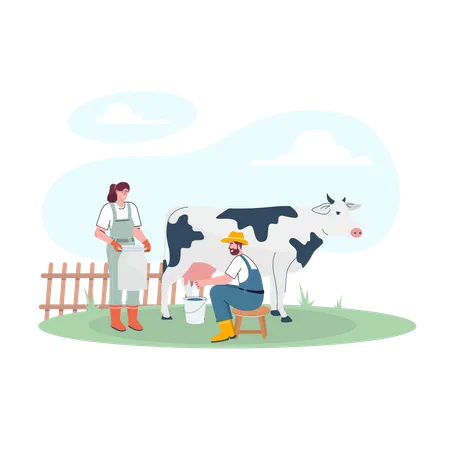 Couple of farmers collecting milk from cow Illustration