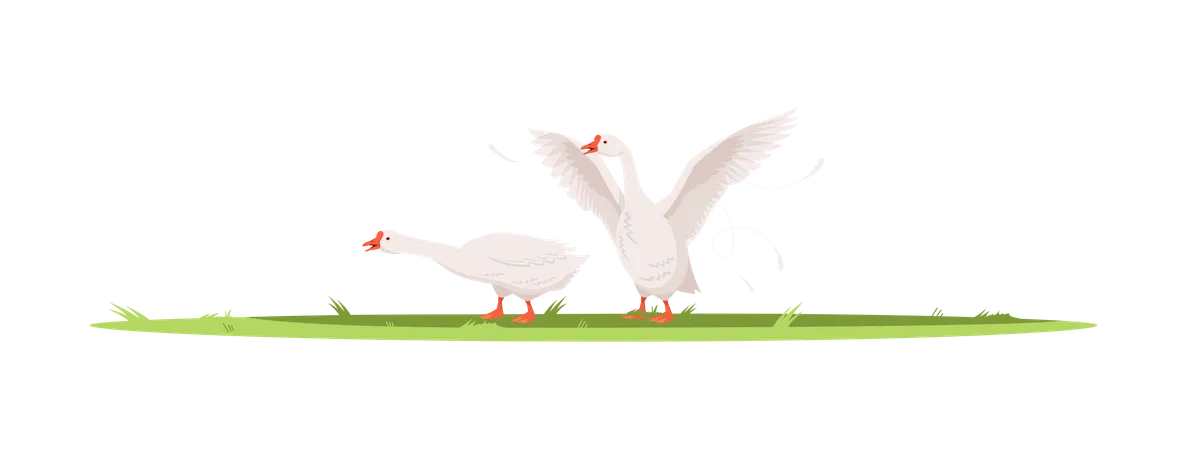 Couple Of Geese  Illustration