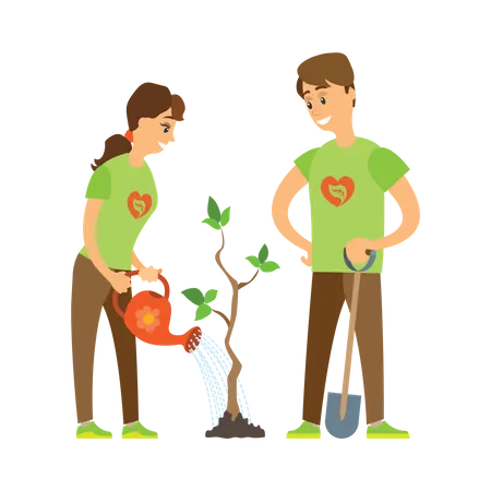Couple of volunteer watering plant Illustration