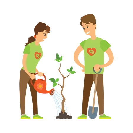 Couple of volunteer watering plant  Illustration