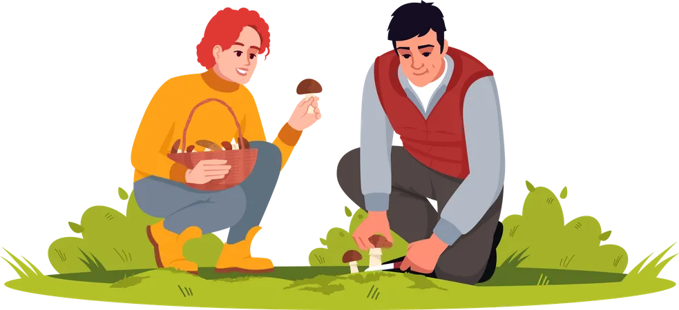 Couple Picking Mushrooms  Illustration