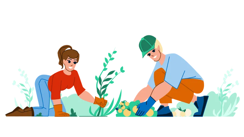 Couple Gardering Vector Man Woman Summer Happy Nature Lifestyle Young Family Home Leisure Couple Gardering Character People Flat Cartoon Illustration Illustration