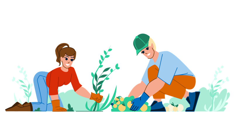 Couple planting tree  Illustration