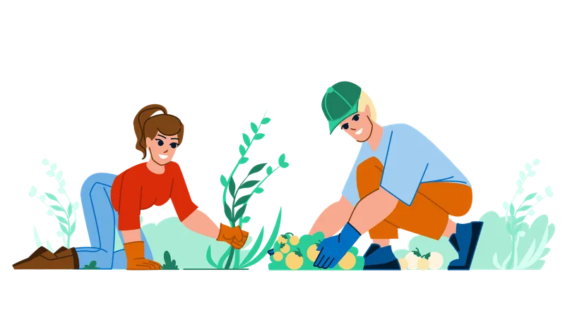 Couple planting tree  Illustration