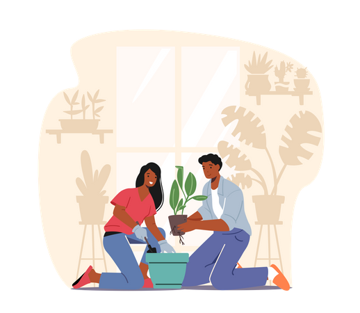 Couple prenant soin des plantes d'accueil  Illustration