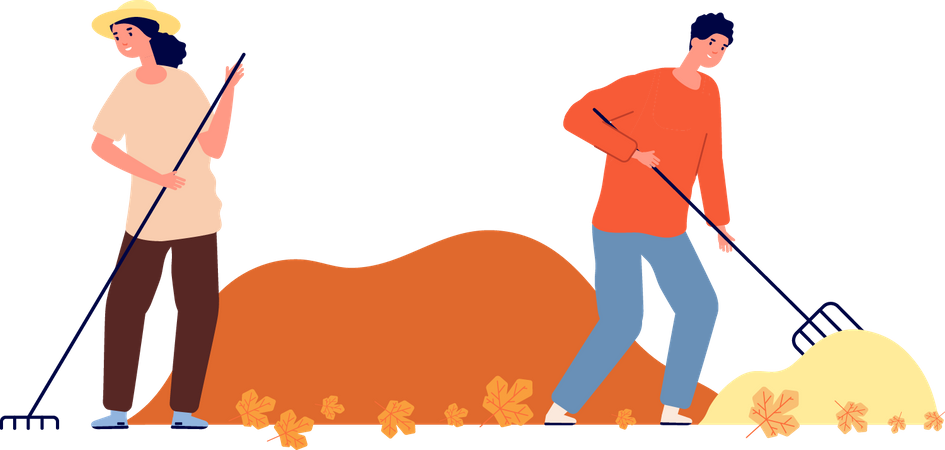 Couple raking autumn leaves  Illustration