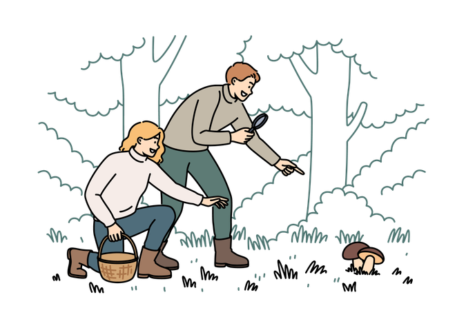 Couple searching mushroom in forest  Illustration