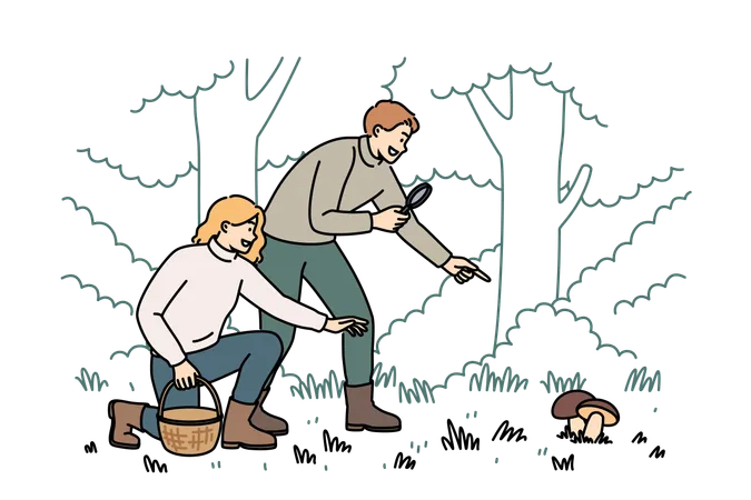 Couple searching mushroom in forest  Illustration