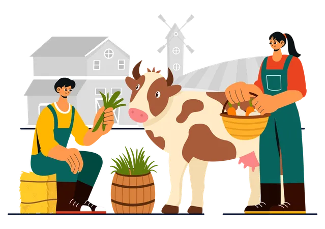 Couple takes care of domestic animal cow  Illustration