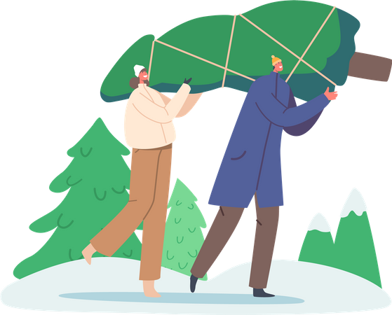 Couple taking christmas tree at home  Illustration