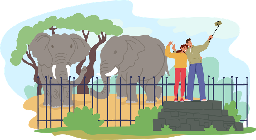 Couple taking selfie in zoo  Illustration