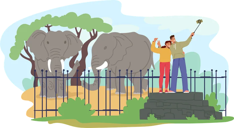 Couple taking selfie in zoo  Illustration