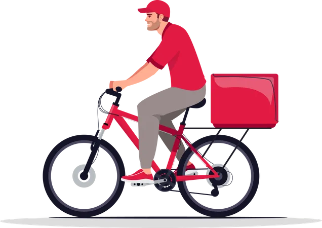 Courier delivery on bike Illustration