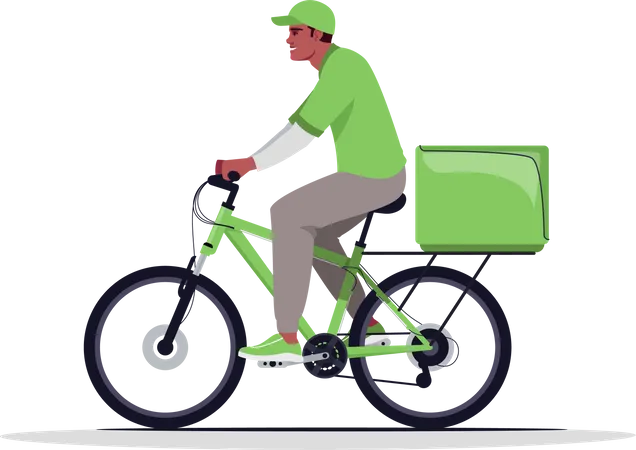 Courier delivery on bike  Illustration