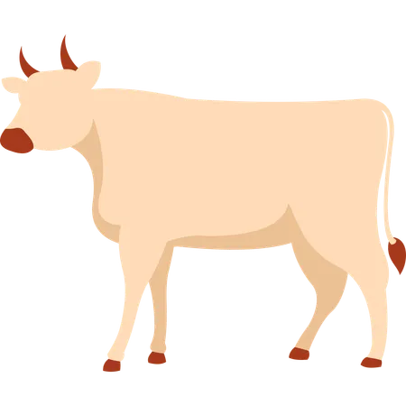 Eid Adha Cow Animal Illustration