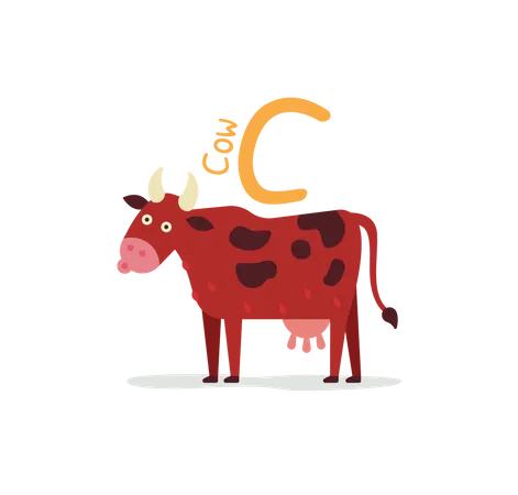 Cow  Illustration