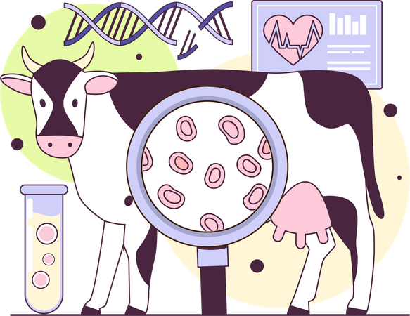 Cow dna research and heart analysis  일러스트레이션