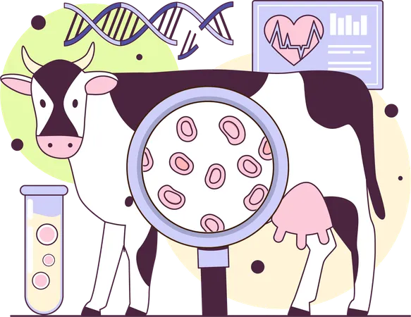Cow dna research and heart analysis  Illustration