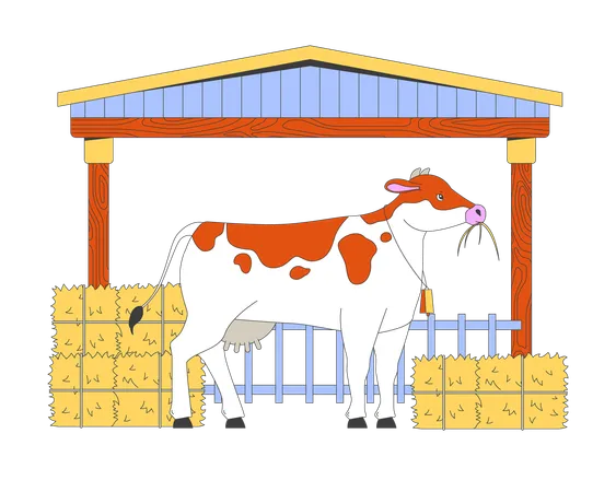 Cow eating hay in barn  Illustration