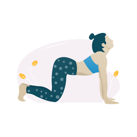 Cow exercise pose  Illustration