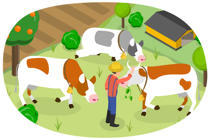 Cow Farm  Illustration