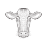 illustration cow head