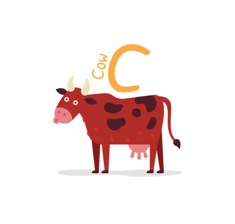 Cow  Illustration