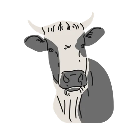 Cow  Illustration