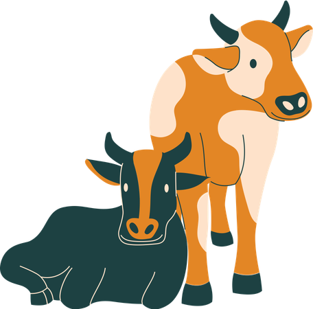 Cow  Illustration